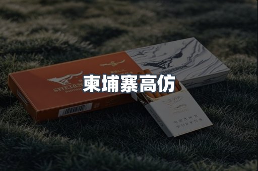 柬埔寨高仿